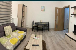 Injoy Suites Tropical Inn 2 BDR apartment